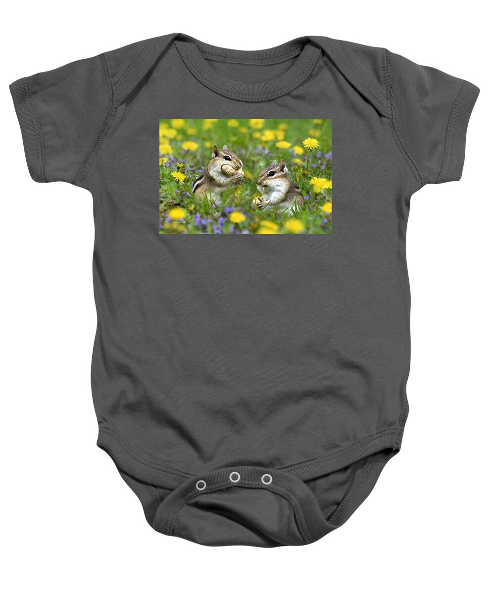 Chipmunks Baby Onesie featuring the photograph Bountiful Generosity by Christina Rollo