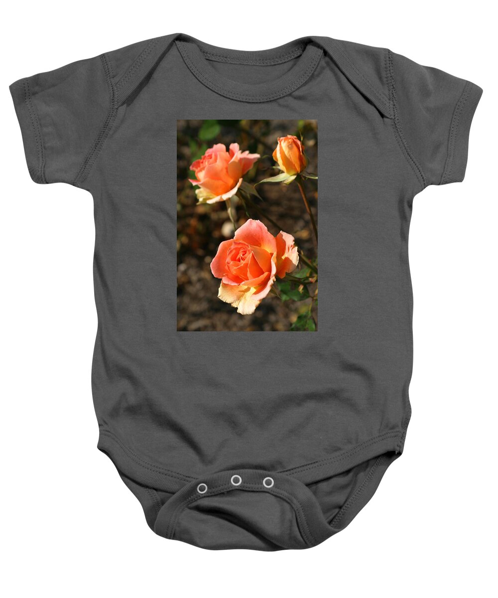 Brass Band Roses Baby Onesie featuring the photograph Brass Band Roses In Autumn by Living Color Photography Lorraine Lynch