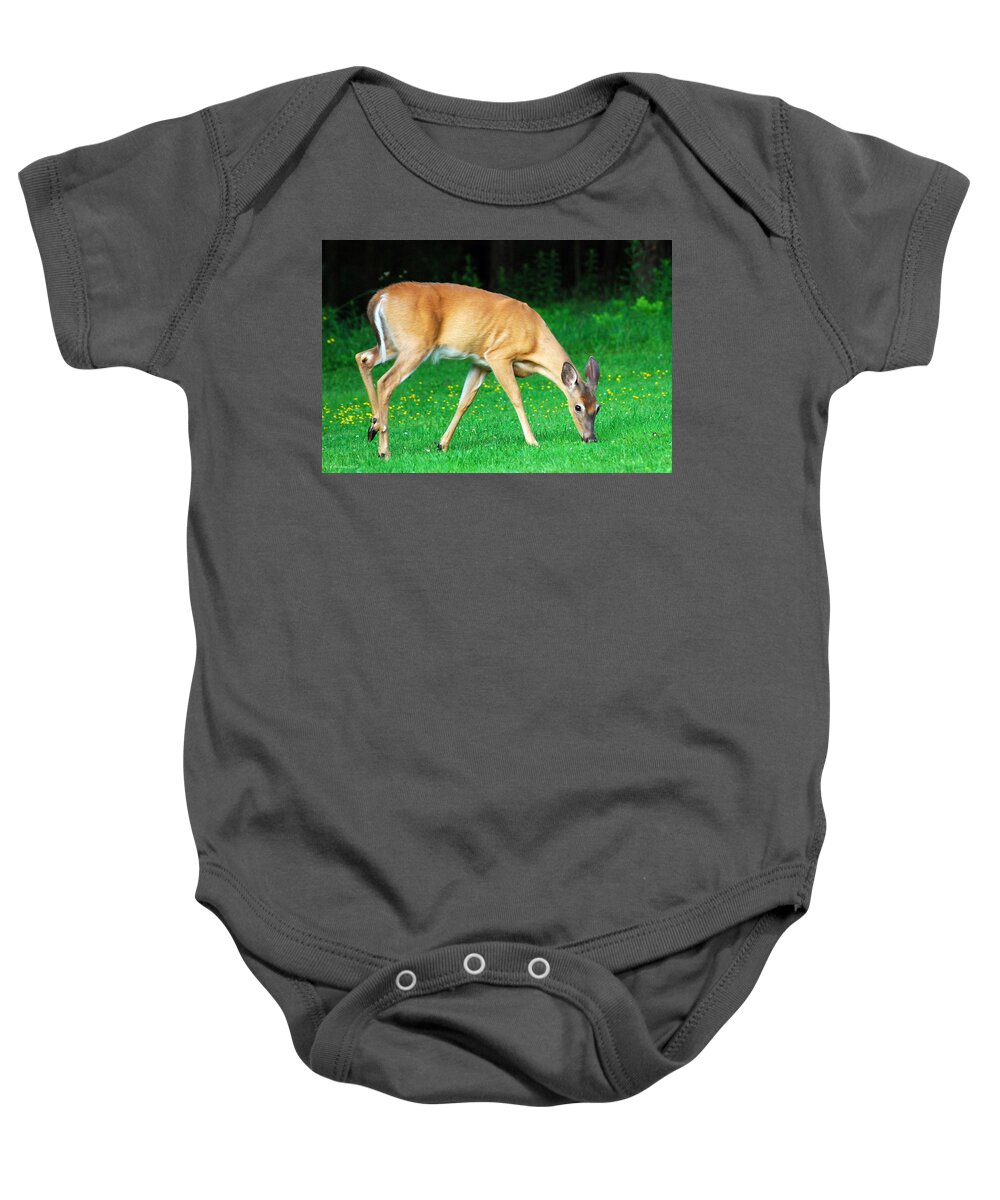 Deer Baby Onesie featuring the photograph Bright Eyed And Bushy Tailed by Christina Rollo
