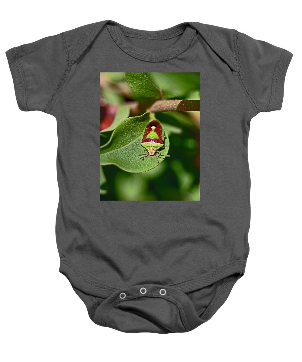 Insects Baby Onesie featuring the photograph Martini Glass by Jennifer Robin