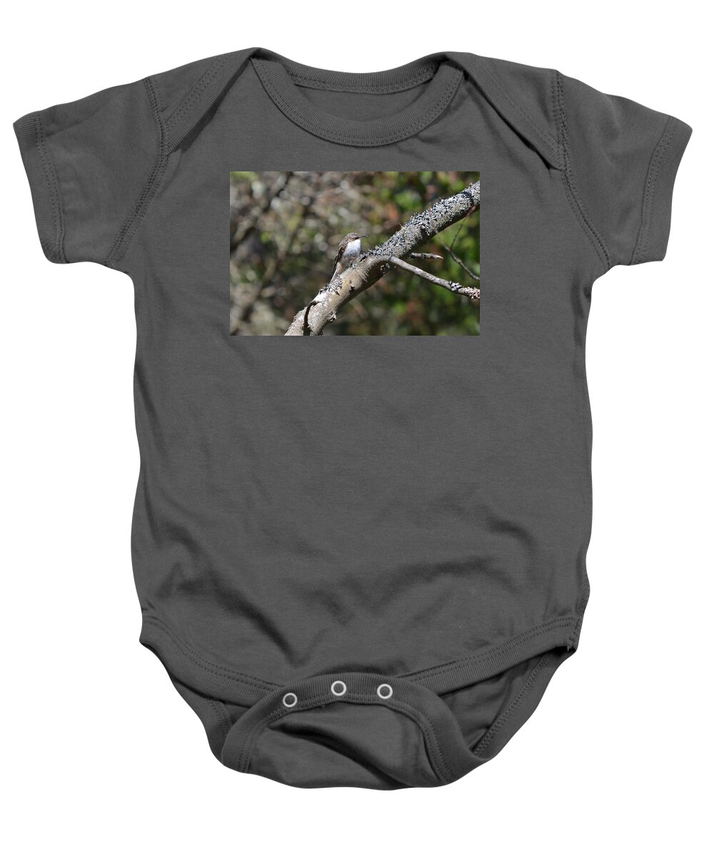 Birding Baby Onesie featuring the photograph Brown Creeper by James Petersen