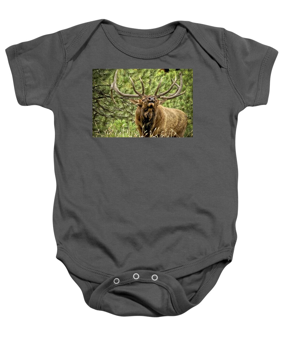 Bull Elk Baby Onesie featuring the photograph Bugling Bull Elk II by Ron White