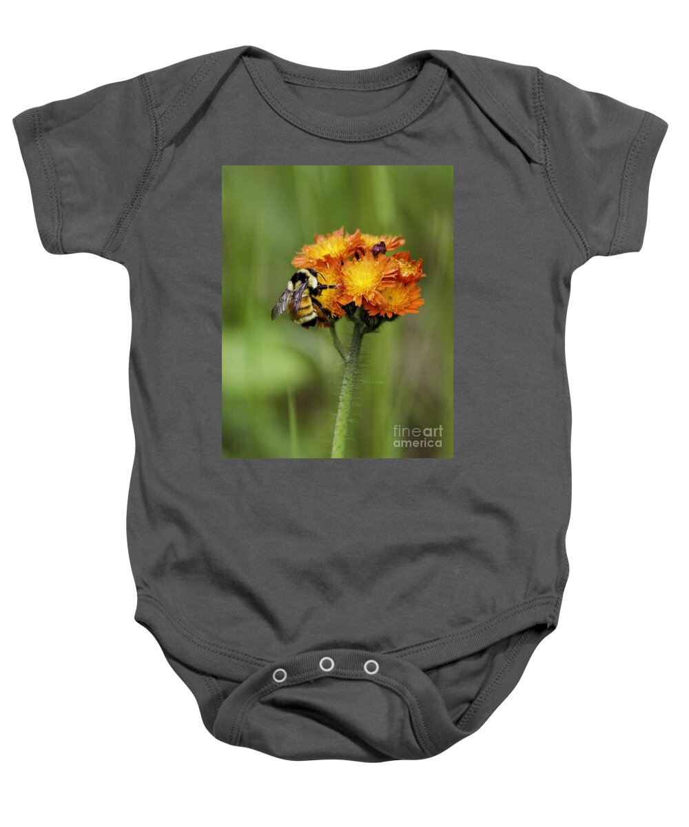 Bumblebee Baby Onesie featuring the photograph Bumble and Hawk by Jan Killian