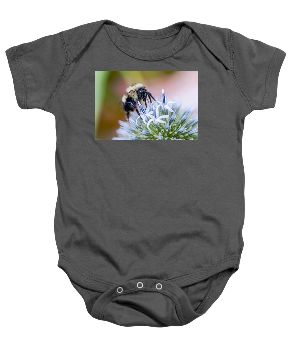 Thistle Baby Onesie featuring the photograph Bumblebee on Thistle Blossom by Marty Saccone