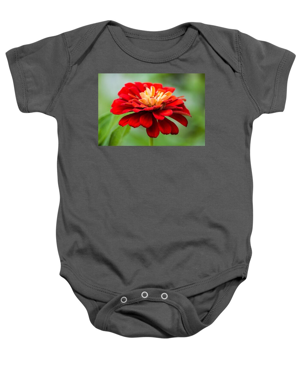 Zinnia Baby Onesie featuring the photograph Bursts of Color by Parker Cunningham