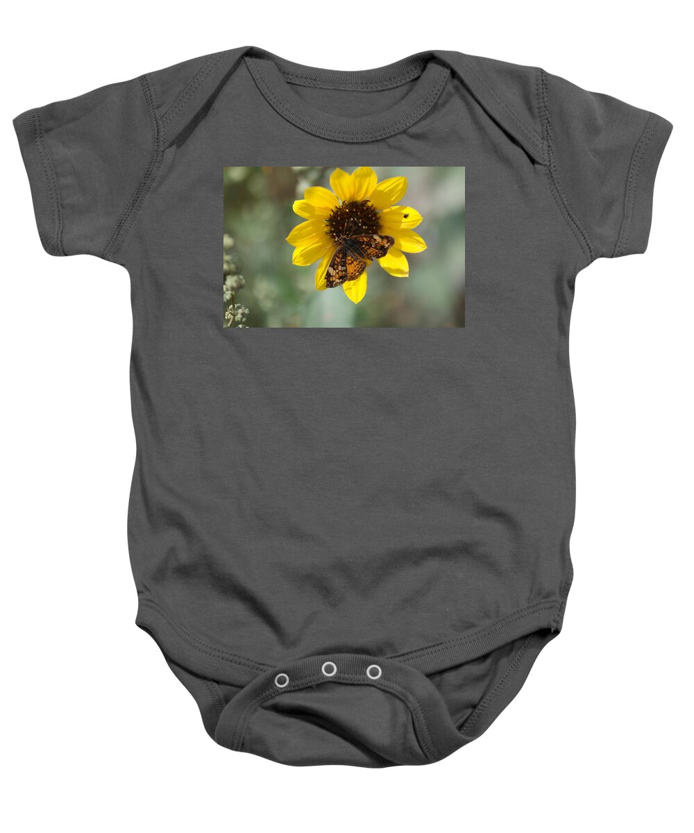 Insects Baby Onesie featuring the photograph Butterfly on a flower by Jeff Swan