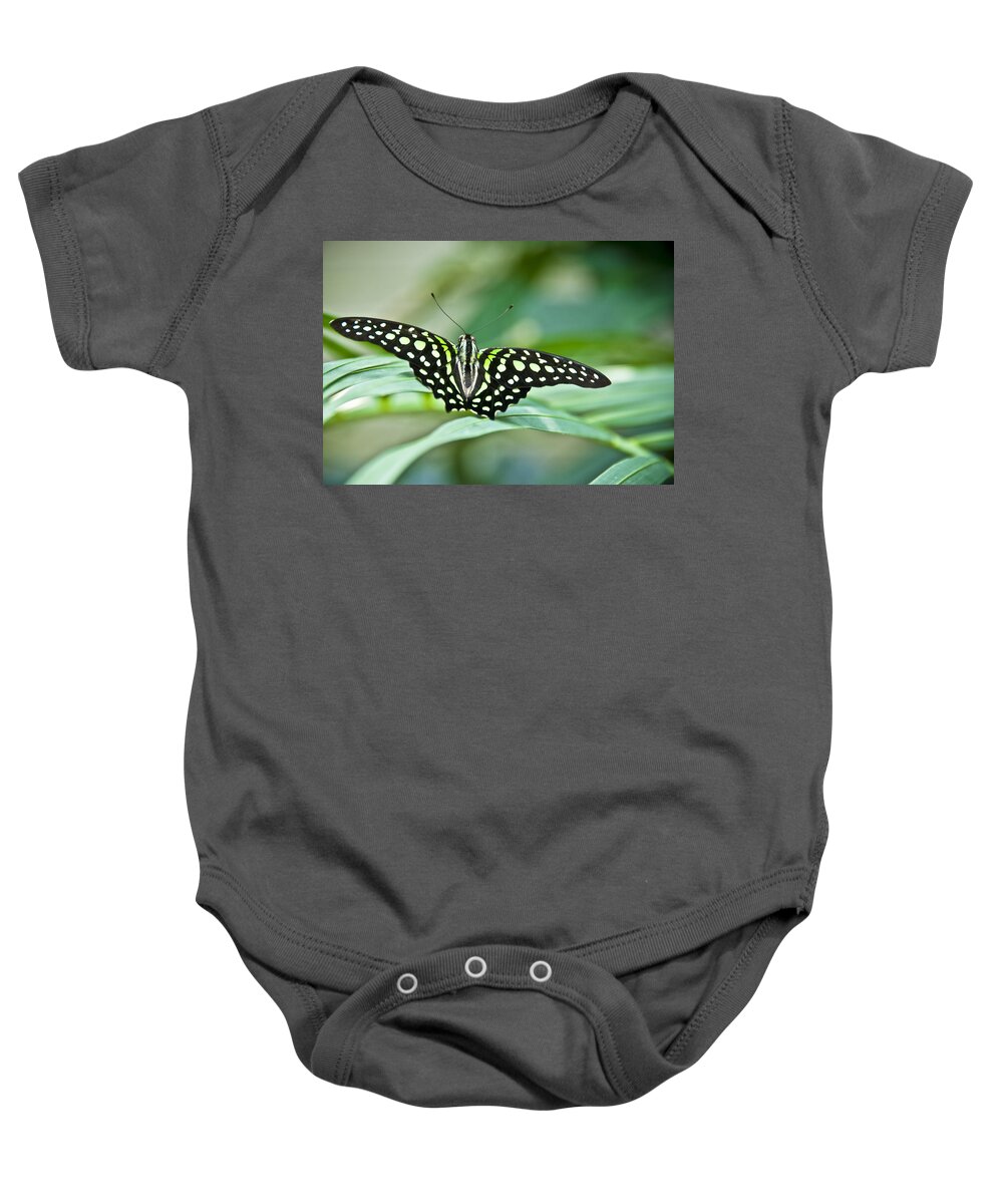 Butterfly Baby Onesie featuring the photograph Butterfly Resting Color by Ron White