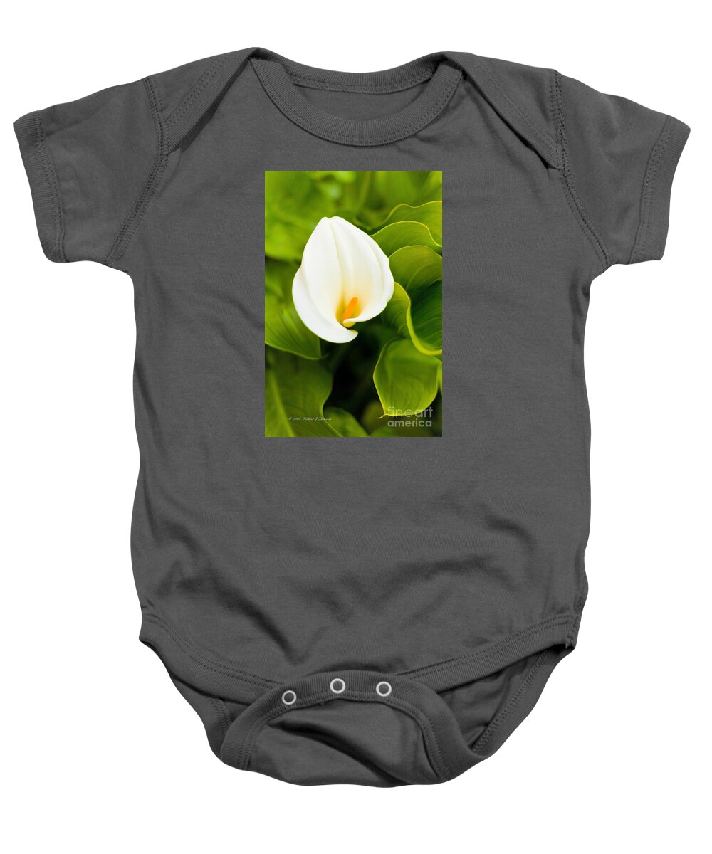 Calla Lily Baby Onesie featuring the photograph Calla Lily Plant by Richard J Thompson 