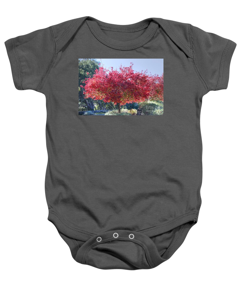 Cambria Baby Onesie featuring the photograph Cambria Red Tree by Tap On Photo