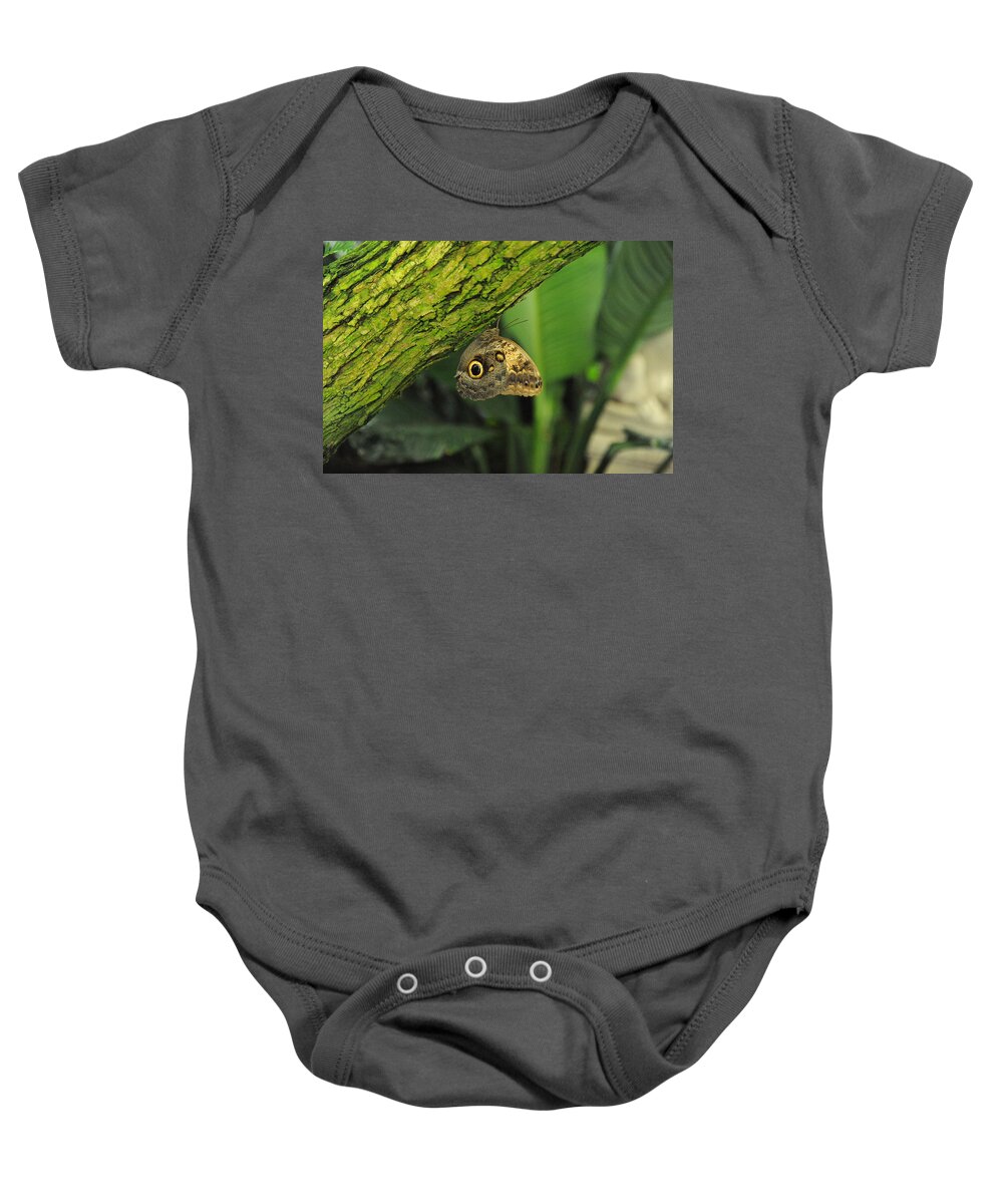Wildlife Baby Onesie featuring the photograph Camouflage by Richard Gehlbach