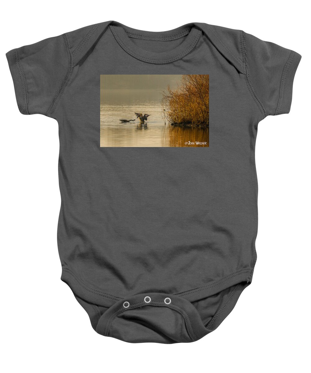 Mt Normandale Lake Baby Onesie featuring the photograph Canadian Geese in the Morning Sun by Joan Wallner