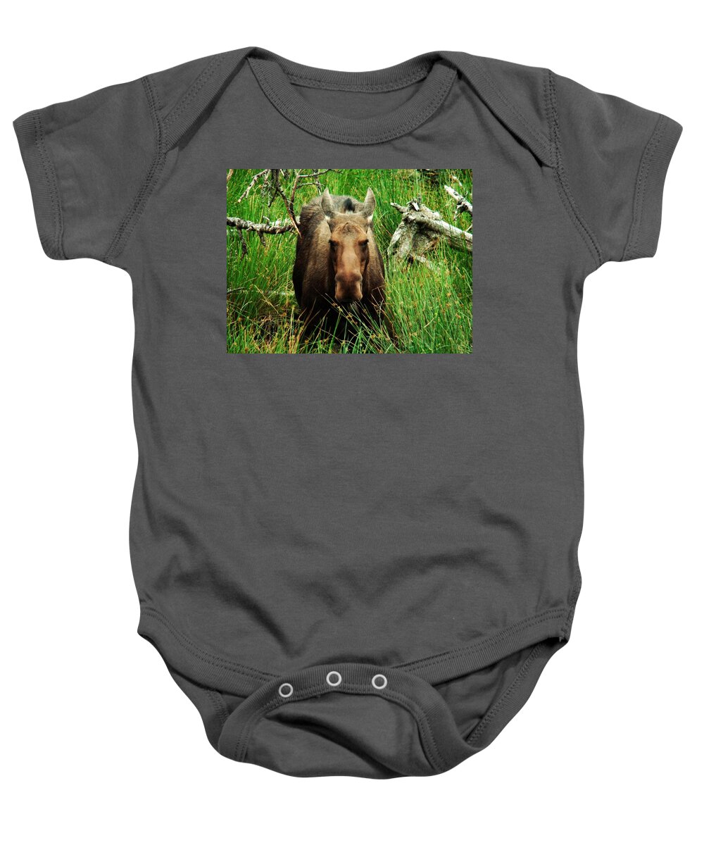 Moose Baby Onesie featuring the photograph Canadian Moose by Zinvolle Art