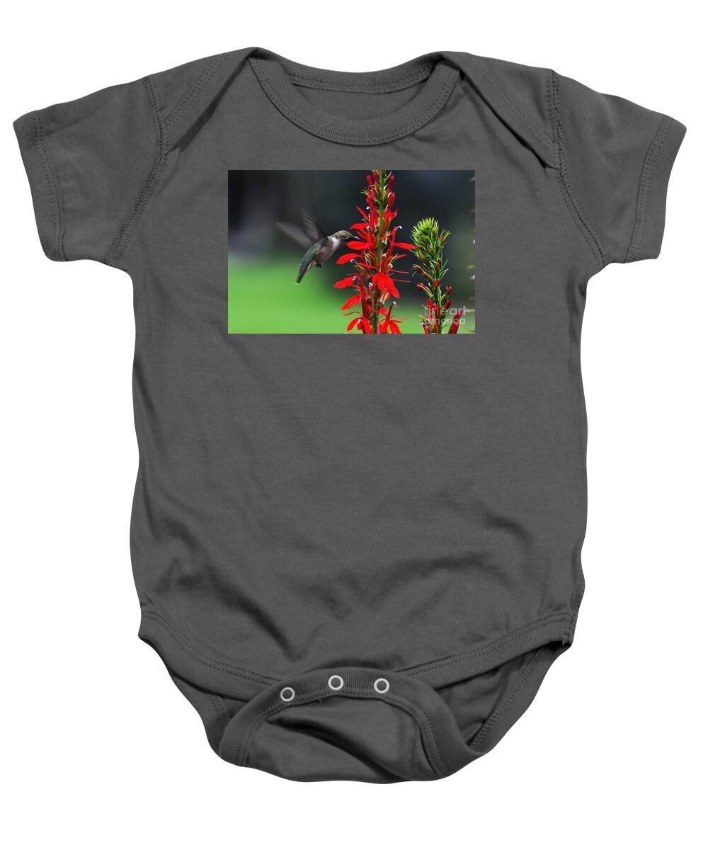 Ruby Throated Hummingbird Baby Onesie featuring the photograph Can't Get Enough by Judy Wolinsky