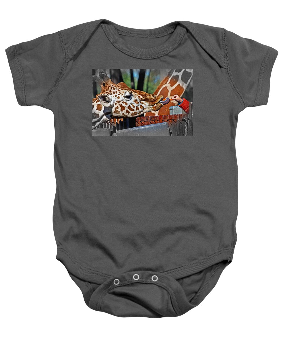 #giraffe Baby Onesie featuring the photograph Carrots are sweet by Miroslava Jurcik