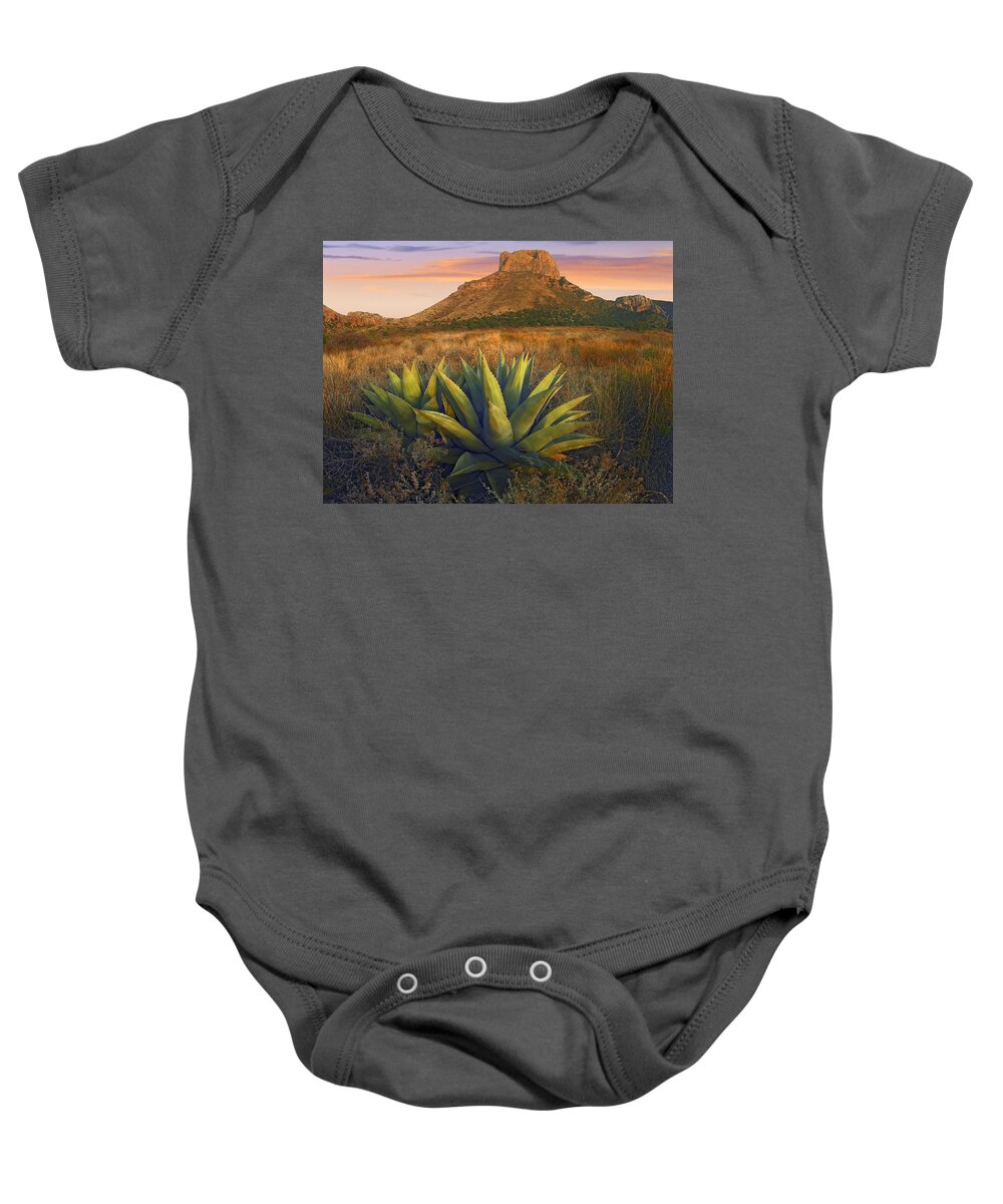 00175597 Baby Onesie featuring the photograph Casa Grande Butte With Agaves by Tim Fitzharris