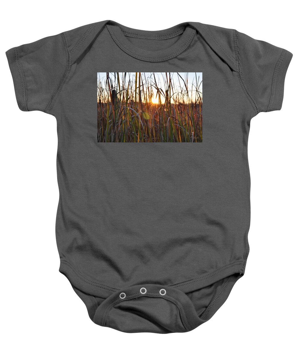 Outdoors Baby Onesie featuring the photograph Cattails and Reeds - West Virginia by Paulette B Wright