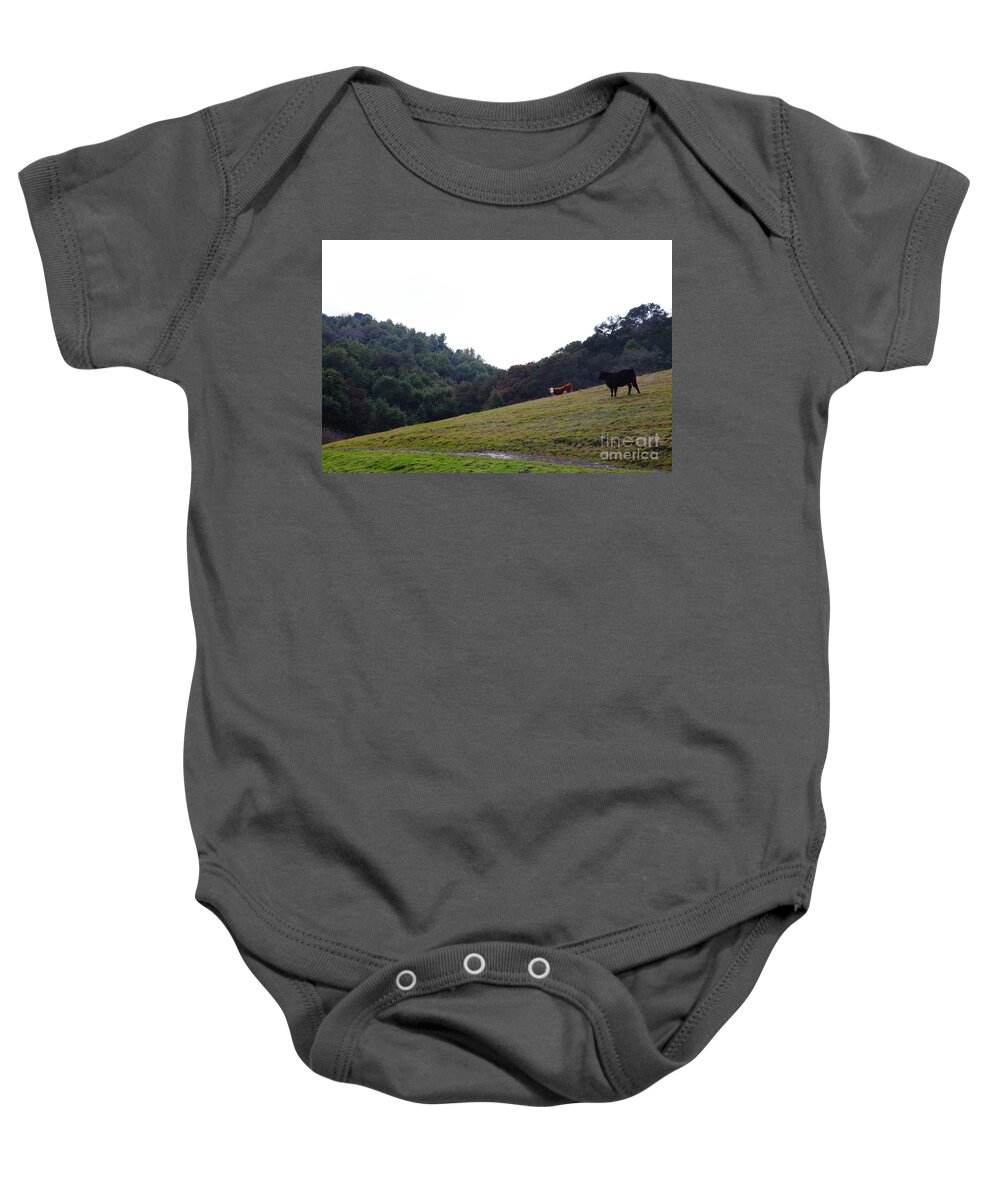 Animal Baby Onesie featuring the photograph Cattles at Fernandez Ranch California - 5D21106 by Wingsdomain Art and Photography
