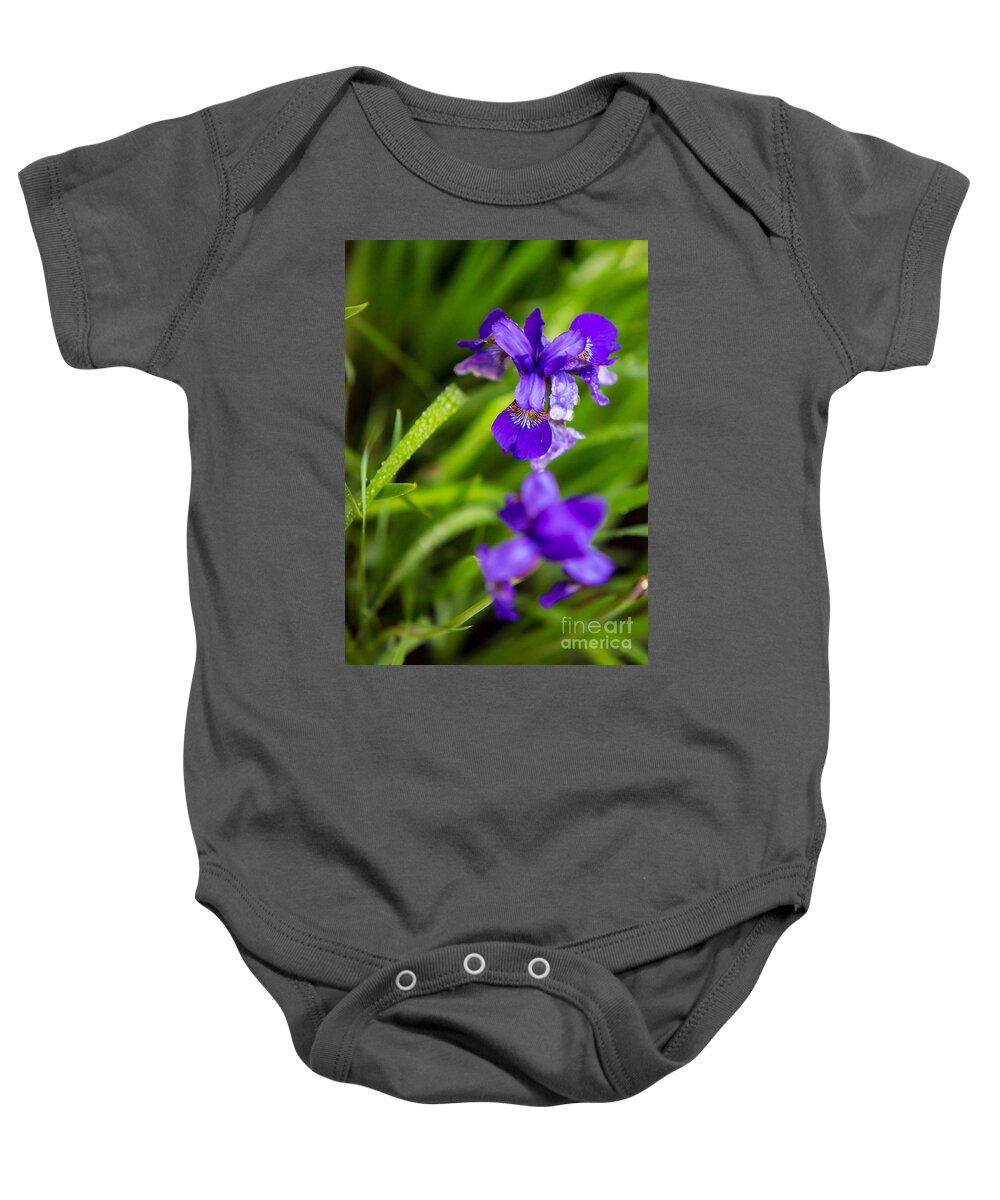 Ceasars Baby Onesie featuring the photograph Ceasars Brother Siberian Iris by Brad Marzolf Photography