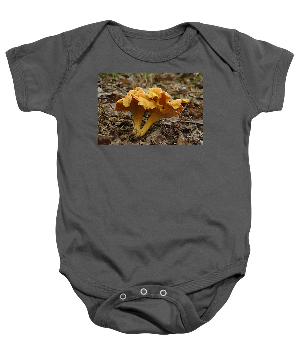 Nature Baby Onesie featuring the photograph Chanterelle Mushroom Cantharellus by Susan Leavines