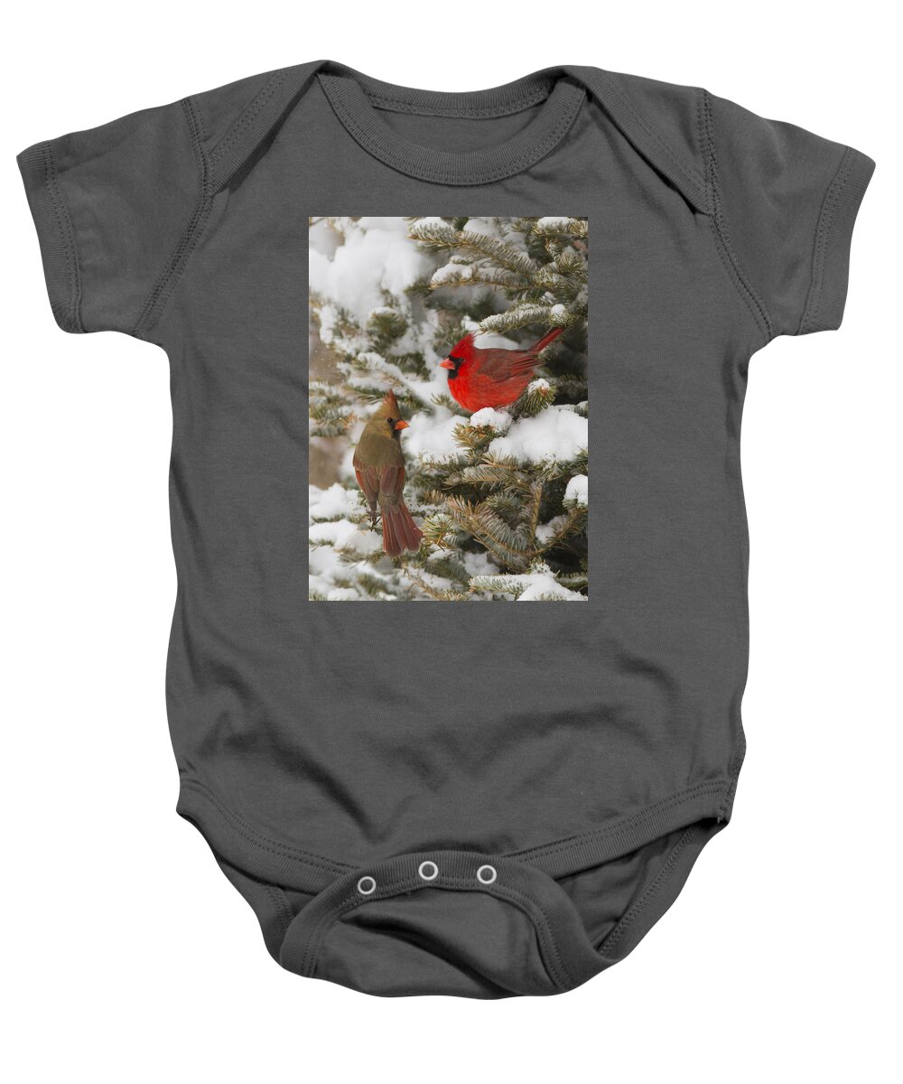 Bird Baby Onesie featuring the photograph Christmas card with cardinals by Mircea Costina Photography