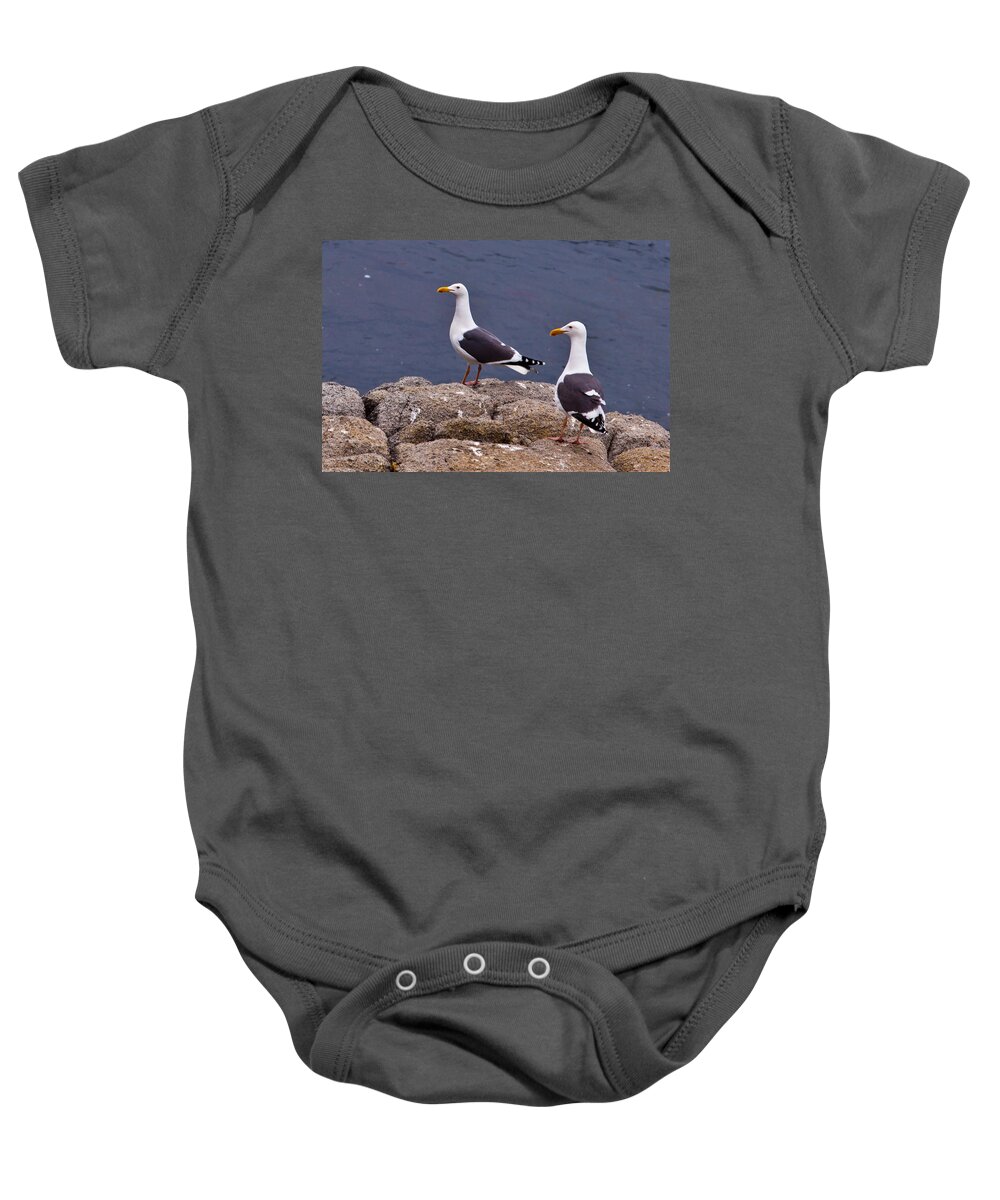 Couple Baby Onesie featuring the photograph Coastal Seagulls by Melinda Ledsome