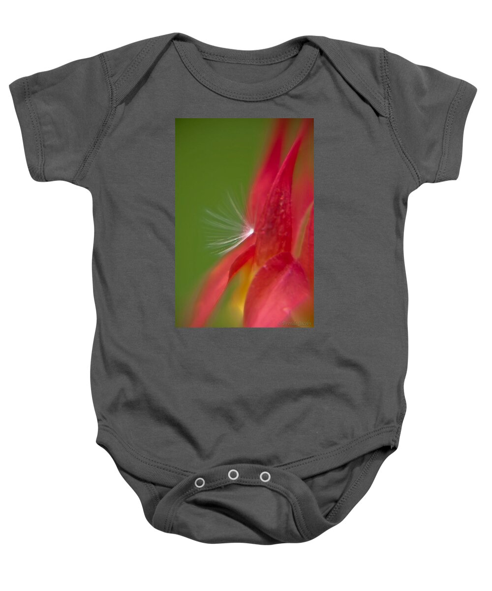 Flowers Baby Onesie featuring the photograph Columbine Fairy by Brenda Jacobs