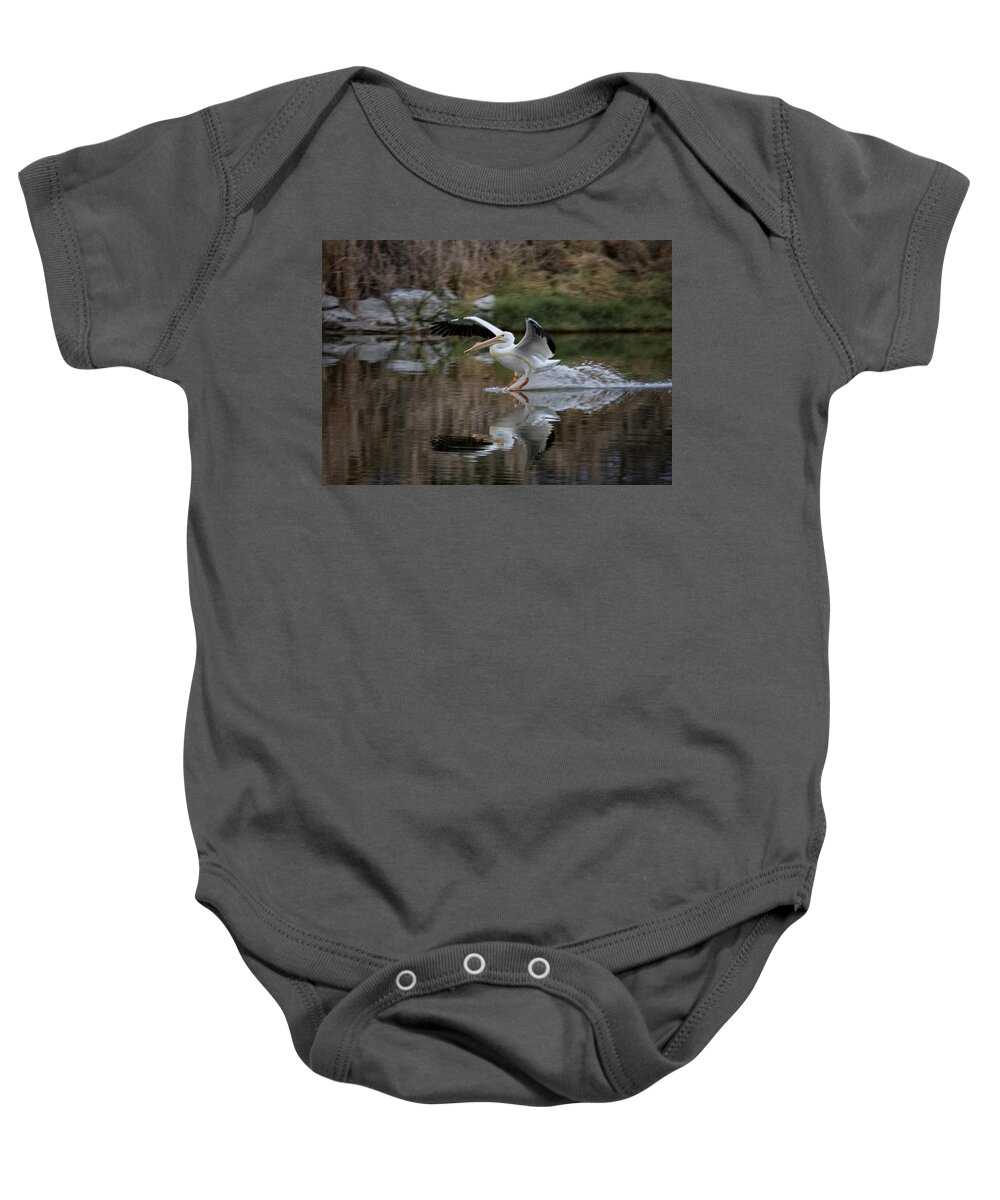 Pelican Baby Onesie featuring the photograph Coming In by Betty Depee