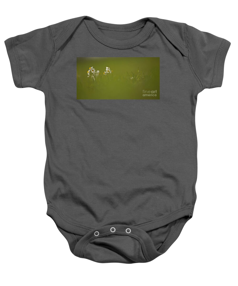 Daffodils Baby Onesie featuring the photograph Common Daffodil by Alon Meir