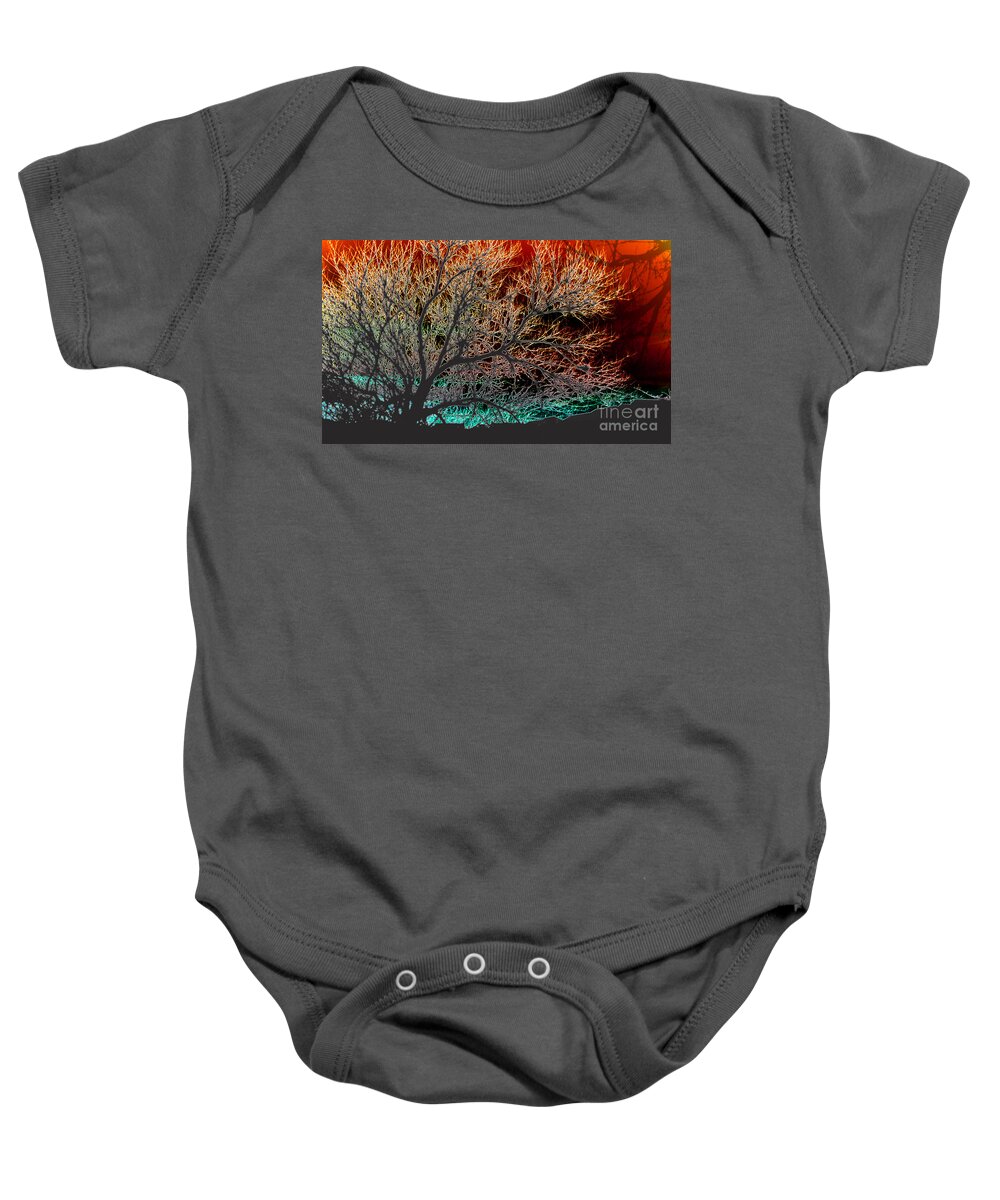 Sunset Baby Onesie featuring the photograph Compalation Invertion by JamieLynn Warber