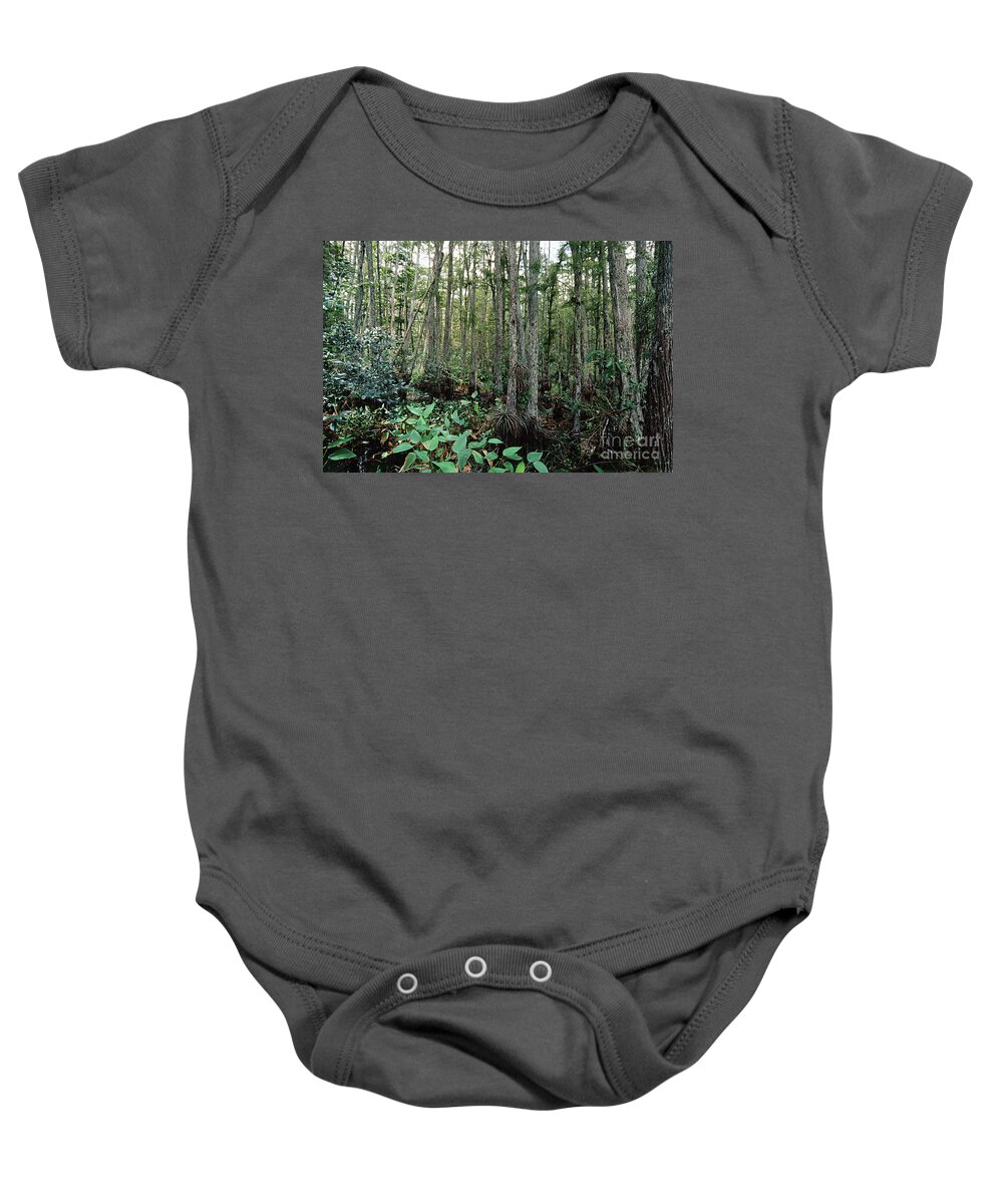 Plant Baby Onesie featuring the photograph Corkscrew Swamp by Gregory G. Dimijian