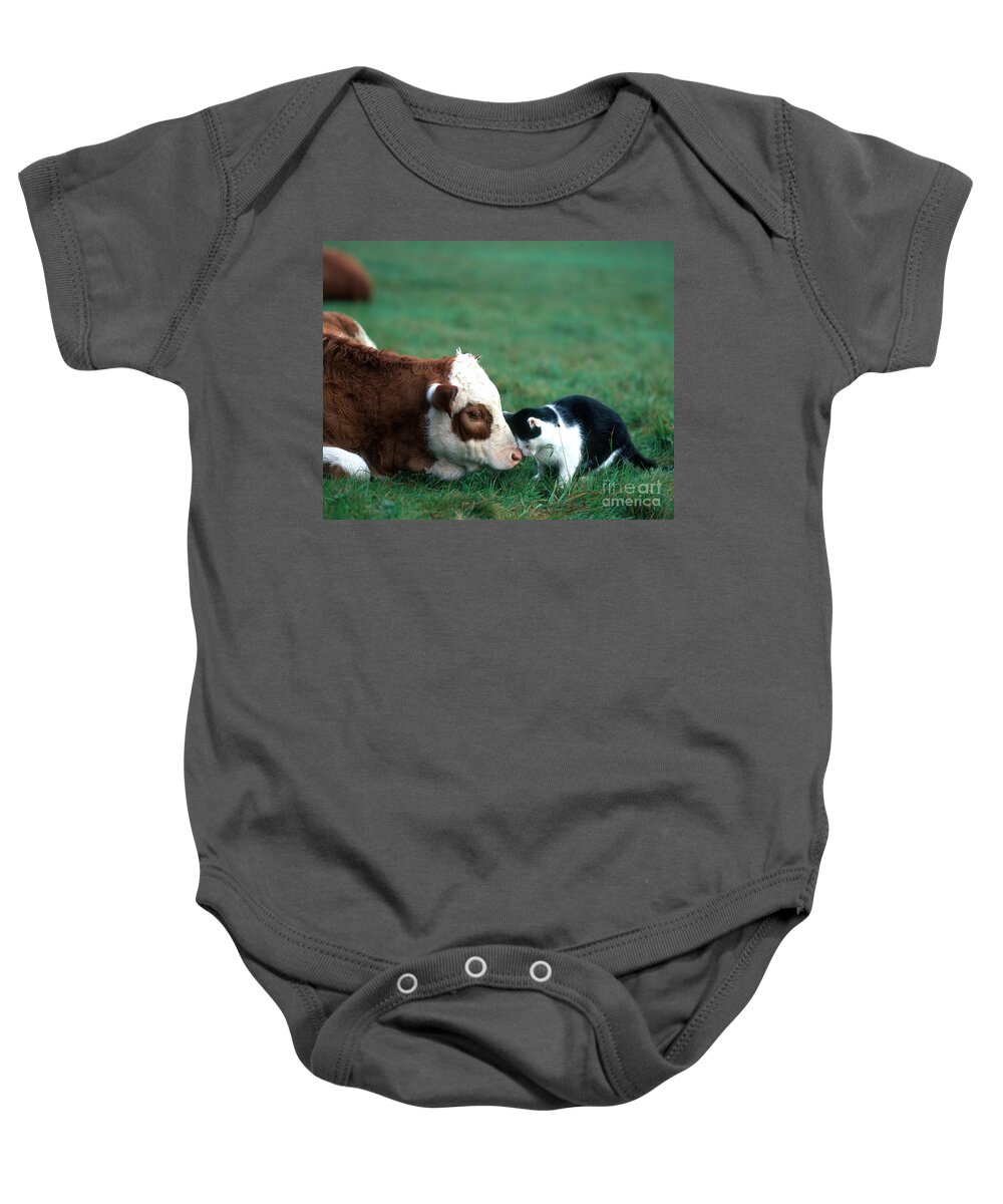 Animal Baby Onesie featuring the photograph Cow And Cat by Hans Reinhard