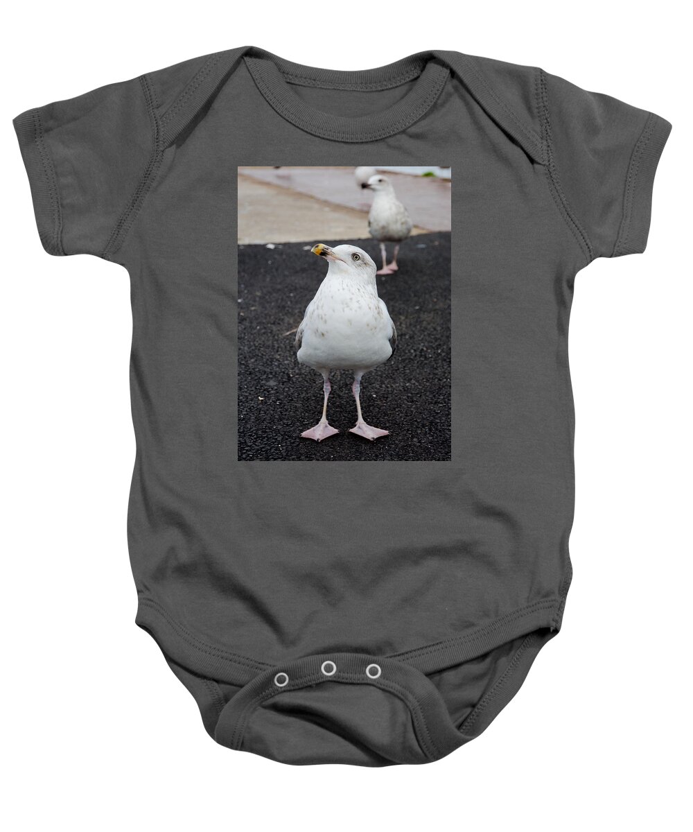 Bird Baby Onesie featuring the photograph Curious seagull by Andreas Berthold