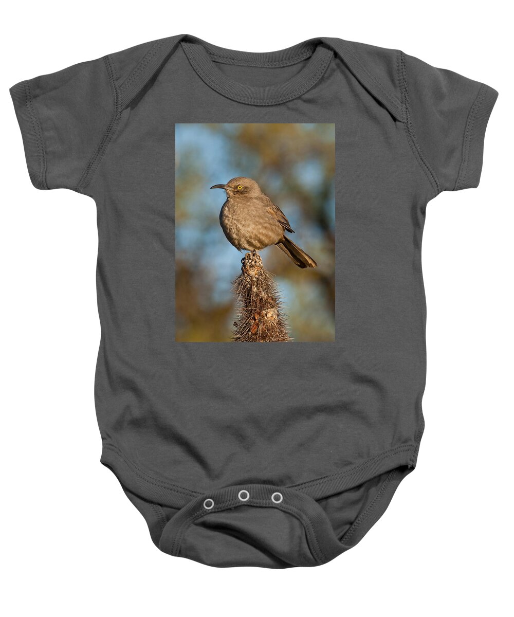 Animal Baby Onesie featuring the photograph Curve-Billed Thrasher on a Cactus by Jeff Goulden