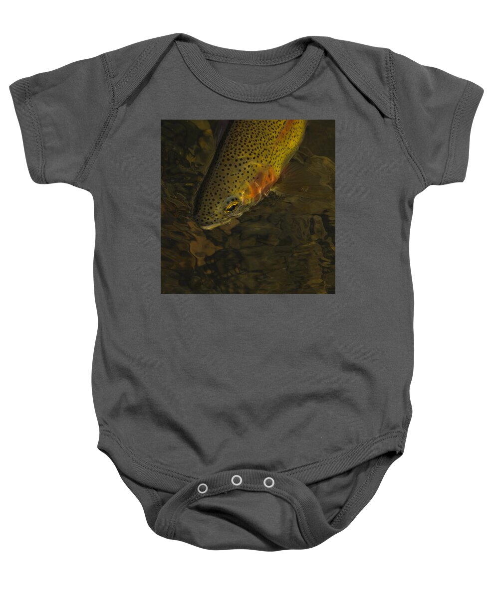 Cuttbow Baby Onesie featuring the photograph Cuttbow by Ron White