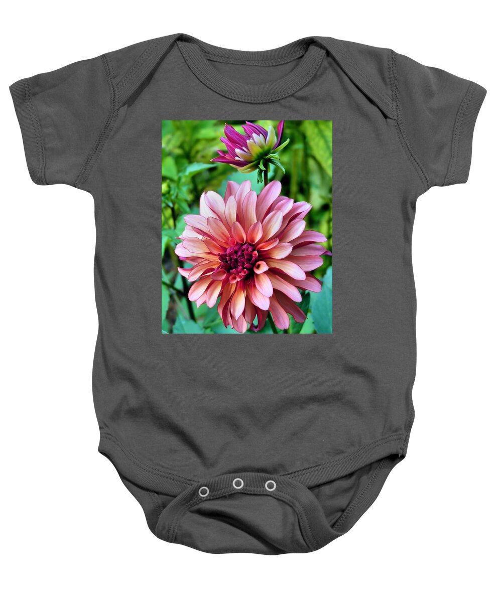 Flowers Baby Onesie featuring the photograph Dahlias in bloom by Janice Drew