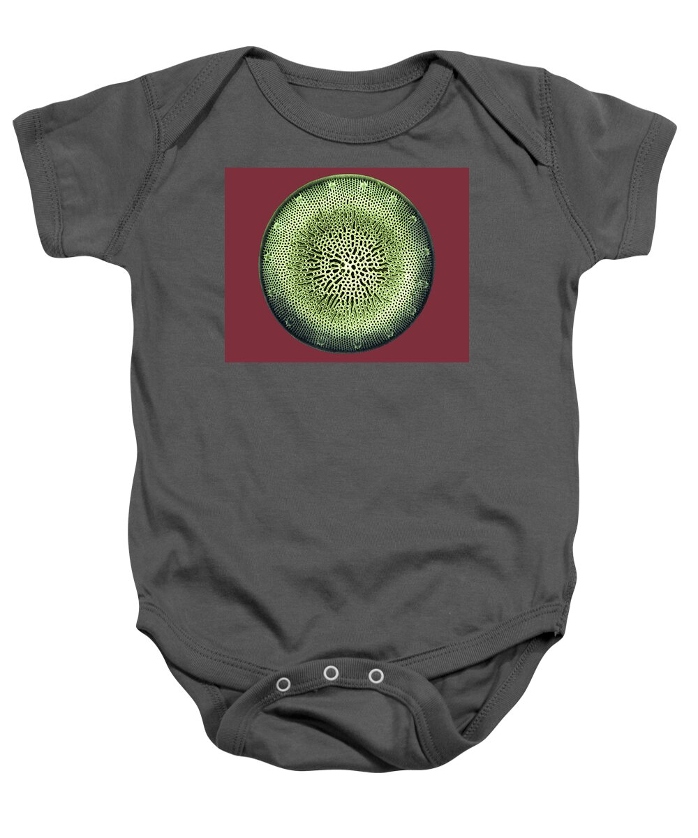 Algae Baby Onesie featuring the photograph Diatom by Dee Breger