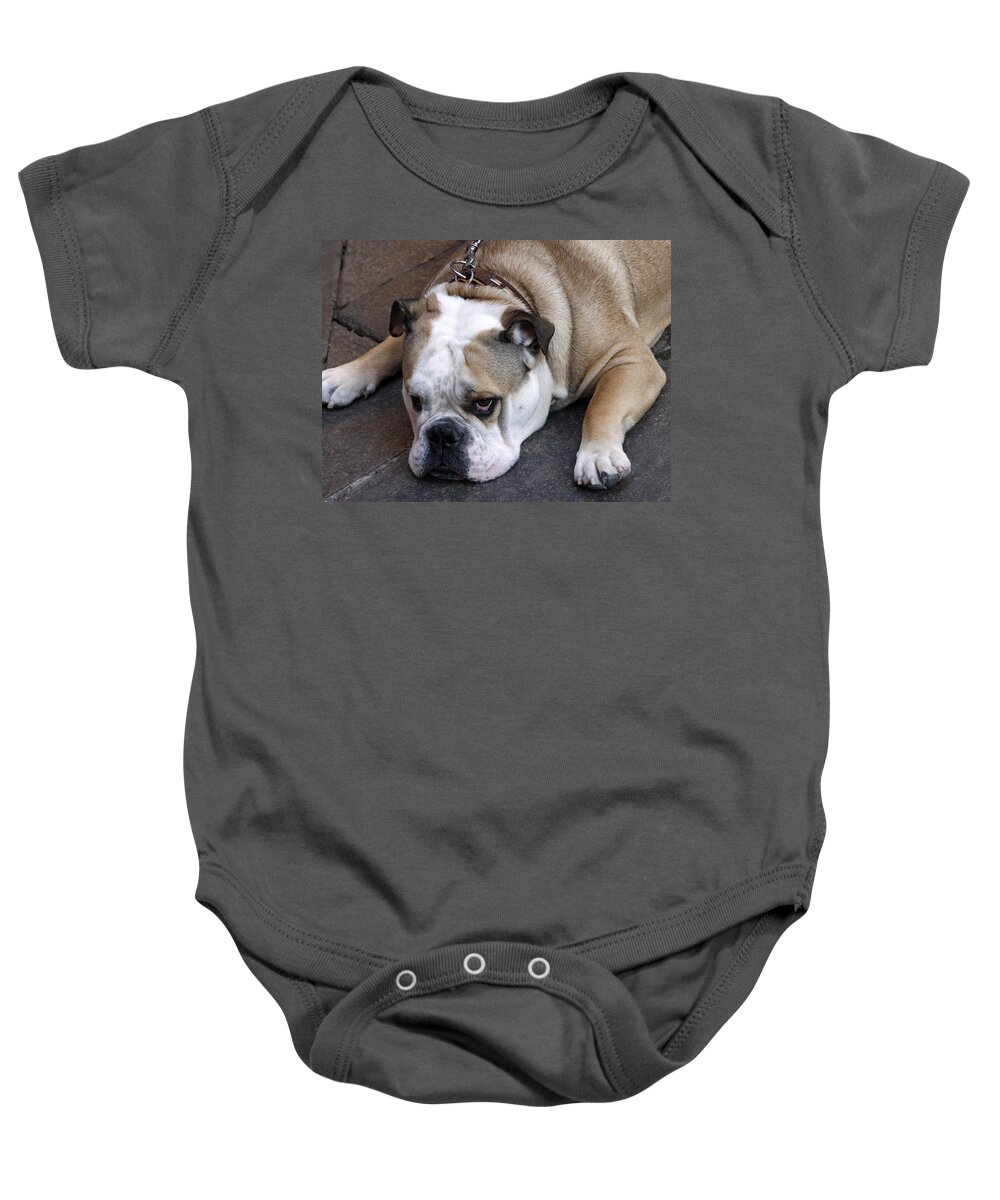 Dog Baby Onesie featuring the photograph Dog. Tired. by Rick Locke - Out of the Corner of My Eye