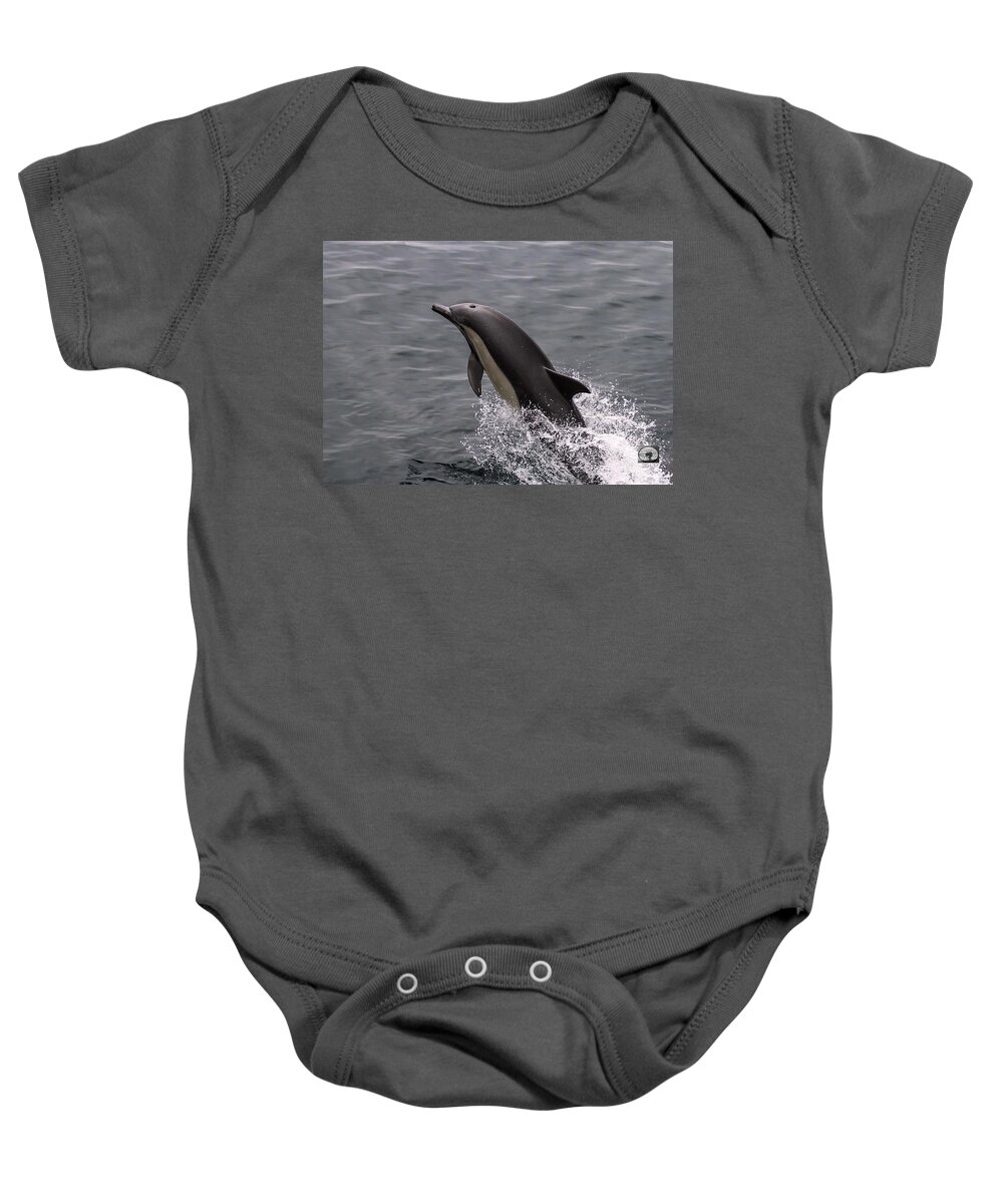 Dolphin Baby Onesie featuring the photograph Dolphin Greetings by Denise Dube