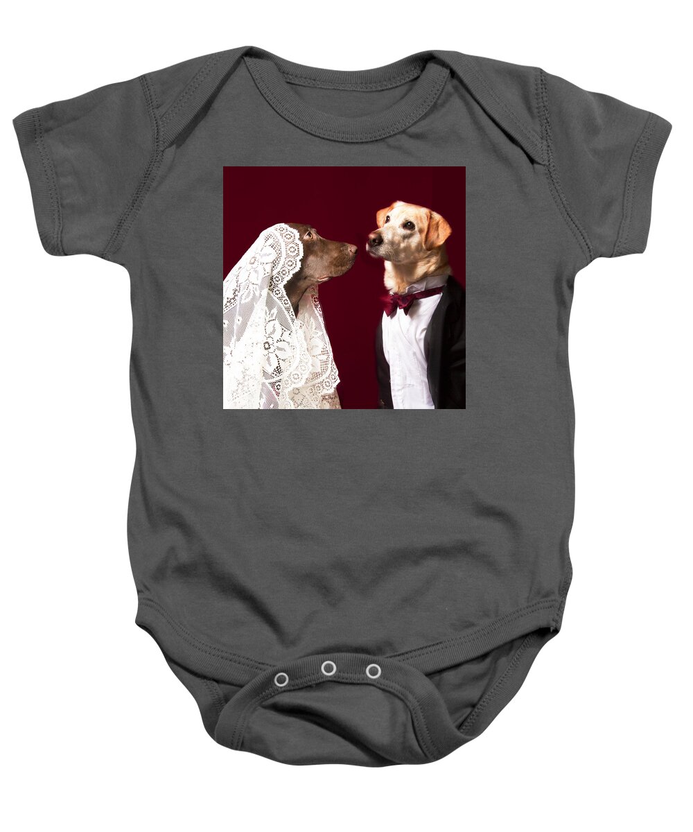 Animals Baby Onesie featuring the photograph Don we now our gay apparel by Jean Noren