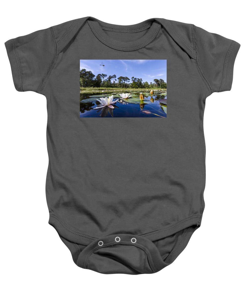 Nis Baby Onesie featuring the photograph Downy Emerald Dragonfly Flying Over Lake by Alex Huizinga