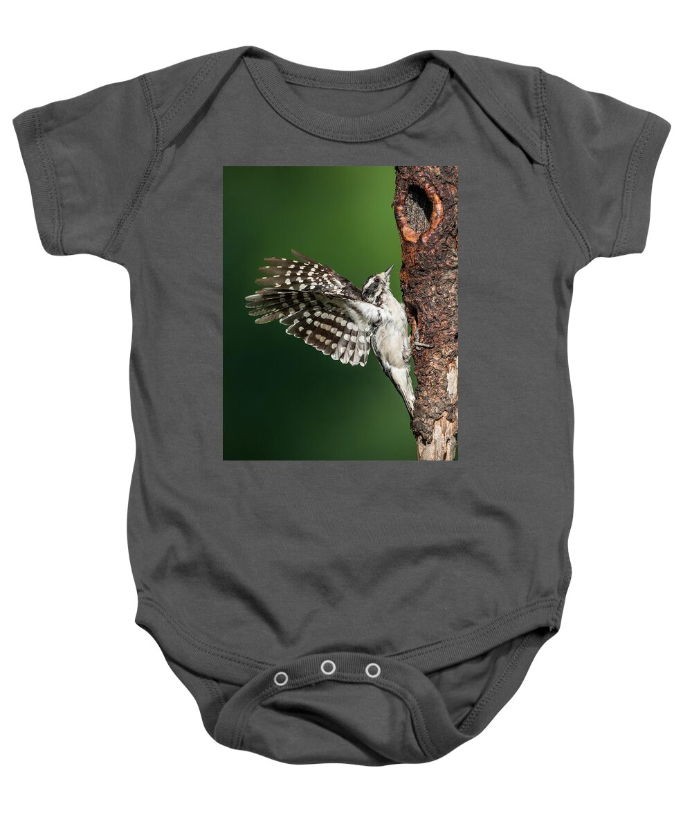 Woodpecker Baby Onesie featuring the photograph Downy Woodpecker Female by Bill Wakeley