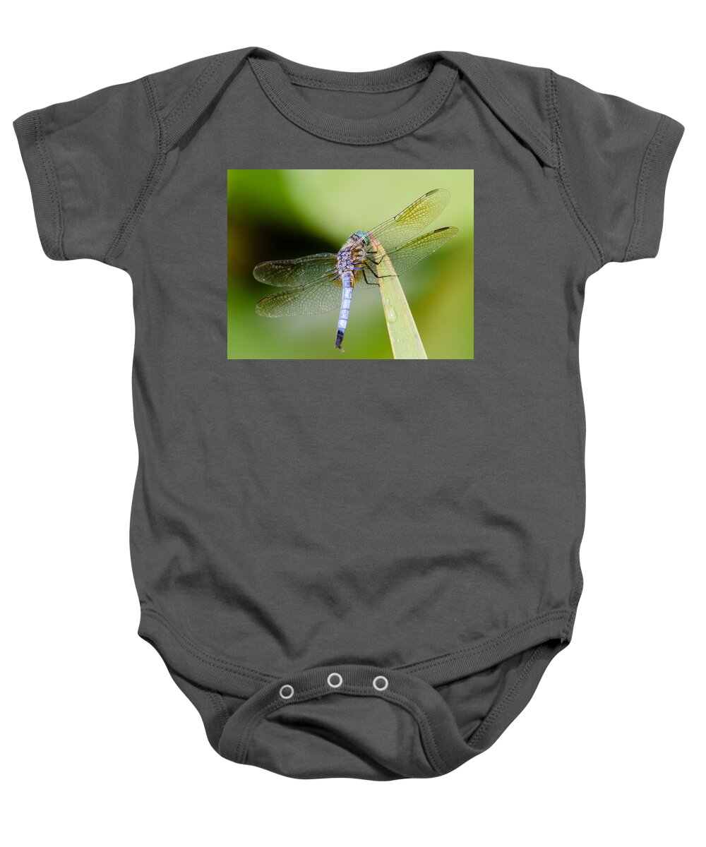 Kenilworth Aquatic Gardens Baby Onesie featuring the photograph Dragonfly by Georgette Grossman