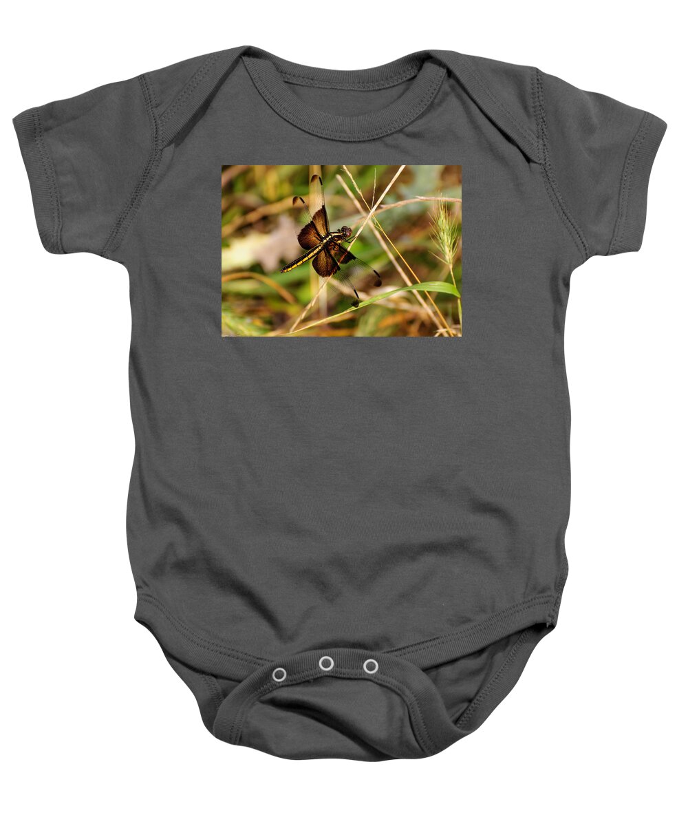 Dragonfly Baby Onesie featuring the photograph Dragonfly by John Johnson