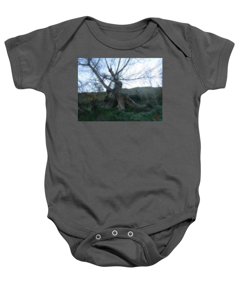 Colette Baby Onesie featuring the photograph Early morning January wild mountain Nature in Spain by Colette V Hera Guggenheim