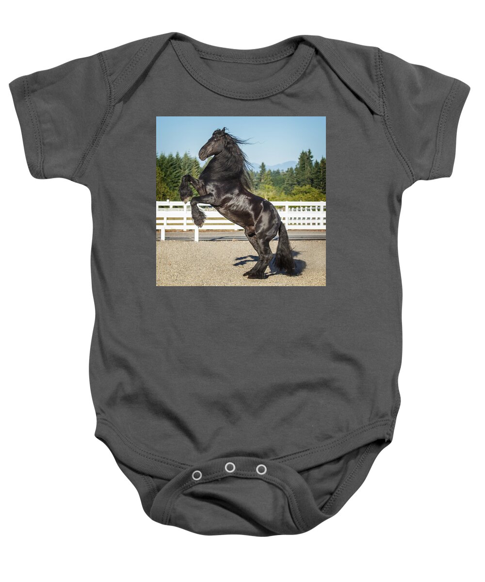 Ebony Beauty Baby Onesie featuring the photograph Ebony Beauty by Wes and Dotty Weber