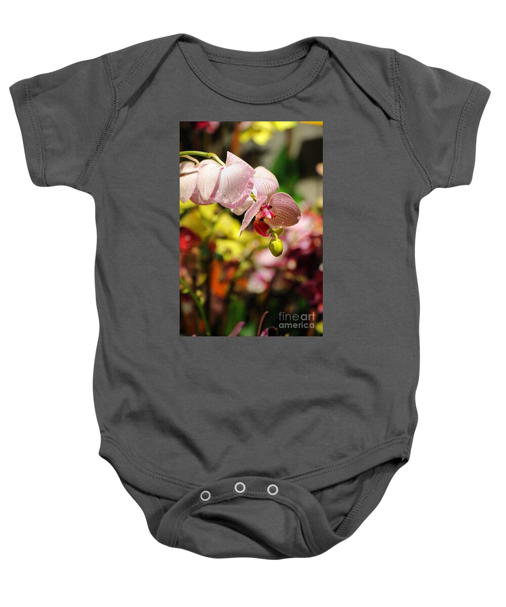Orchid Baby Onesie featuring the photograph Elegance At The Market by Rory Siegel