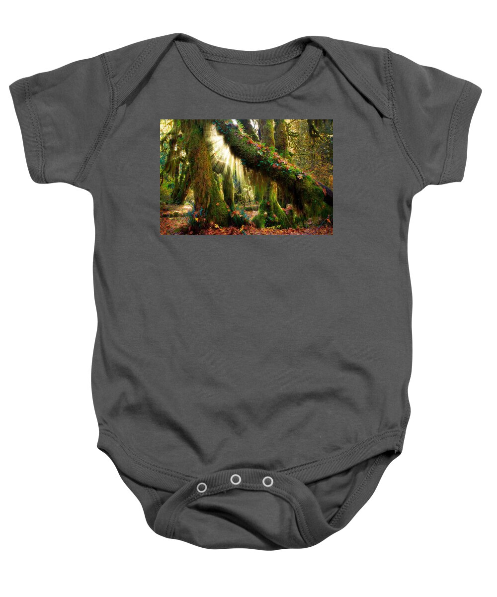 America Baby Onesie featuring the photograph Enchanted Forest by Inge Johnsson
