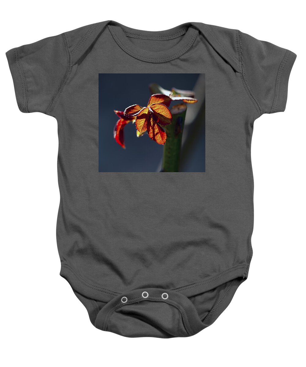 Spring Baby Onesie featuring the photograph Eternal by Joe Schofield