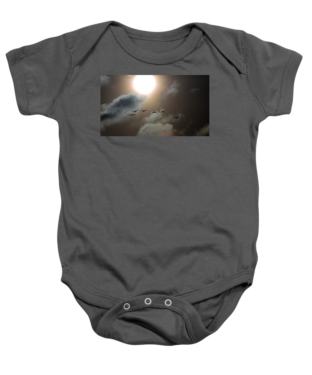 Sunset Baby Onesie featuring the photograph Evening Flight by Donald J Gray