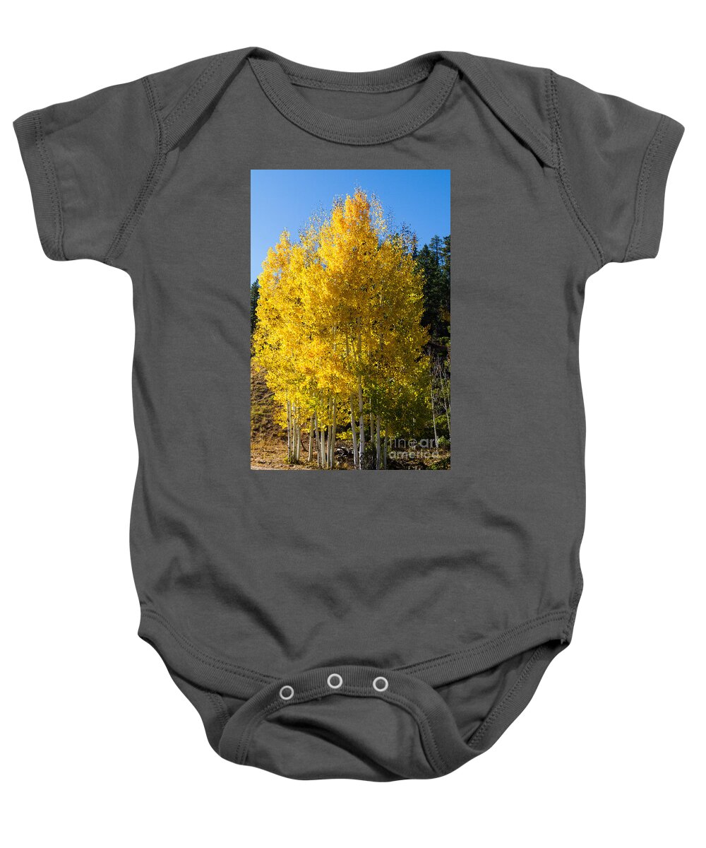 American Southwest Baby Onesie featuring the photograph Fall Aspens at Bryce by Dan Hartford